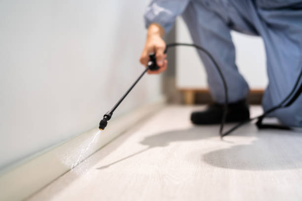 Licensed Pest Control service in New City, NY - Show Me Pest Control