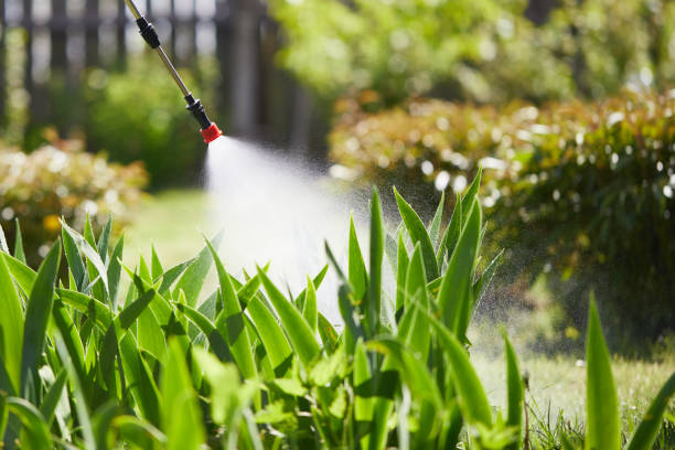 24/7 Emergency Mosquito Control experts in New City, NY