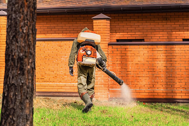 Top rated local Mosquito Control specialists in New City, NY